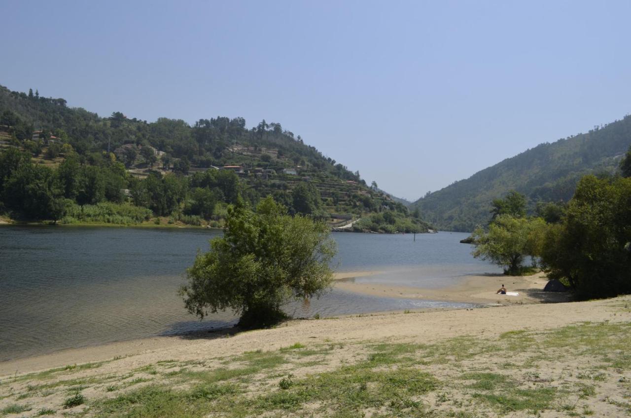 Encosta Do Douro - Rio Douro Villa Cinfães Exteriör bild
