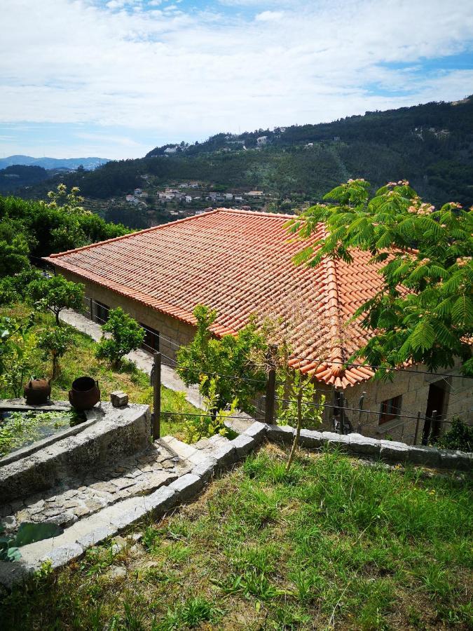 Encosta Do Douro - Rio Douro Villa Cinfães Exteriör bild