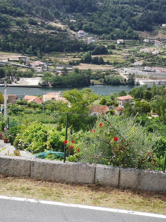 Encosta Do Douro - Rio Douro Villa Cinfães Exteriör bild