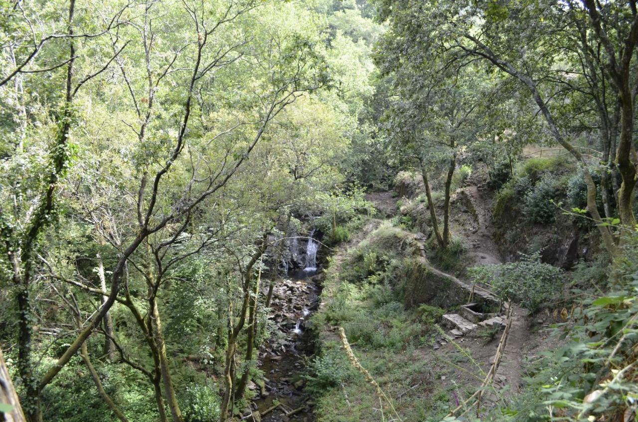 Encosta Do Douro - Rio Douro Villa Cinfães Exteriör bild