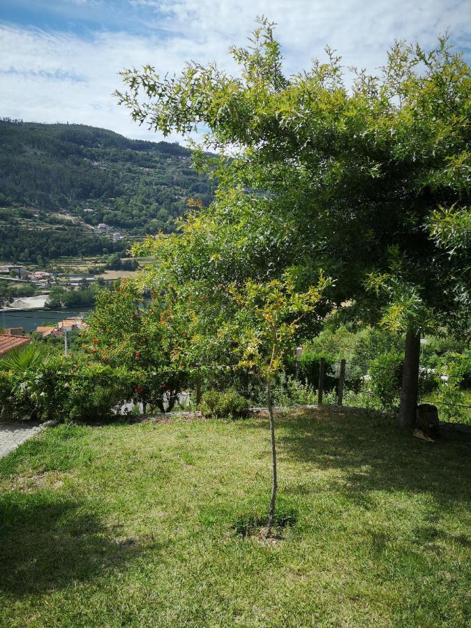 Encosta Do Douro - Rio Douro Villa Cinfães Exteriör bild